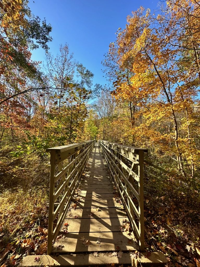 Cuyahoga Valley National Park in the Fall: Our 2-Day Trip Fall foliage along Brandywine Gorge Loop Trail in Cuyahoga Valley National Park