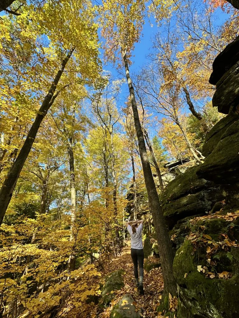 Cuyahoga Valley National Park in the Fall: Our 2-Day Trip Golden fall foliage along Ledges Trail in Cuyahoga Valley National Park