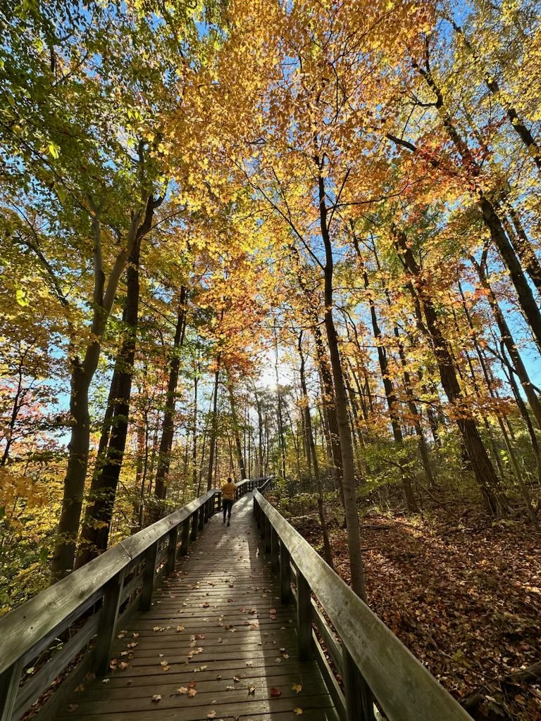 Cuyahoga Valley National Park in the Fall: Our 2-Day Trip Cuyahoga Valley National Park in the Fall: Our 2-Day Trip