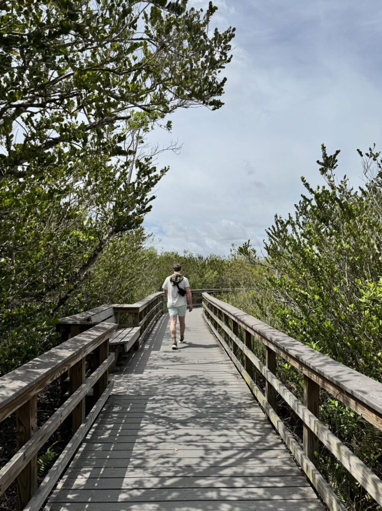 Our 6-Day Itinerary to Florida's 3 National Parks Walking along the boardwalk in Everglades National Park