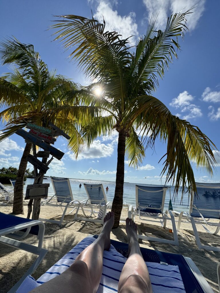 Our 6-Day Itinerary to Florida's 3 National Parks palm trees on the beach at our Key Largo resort