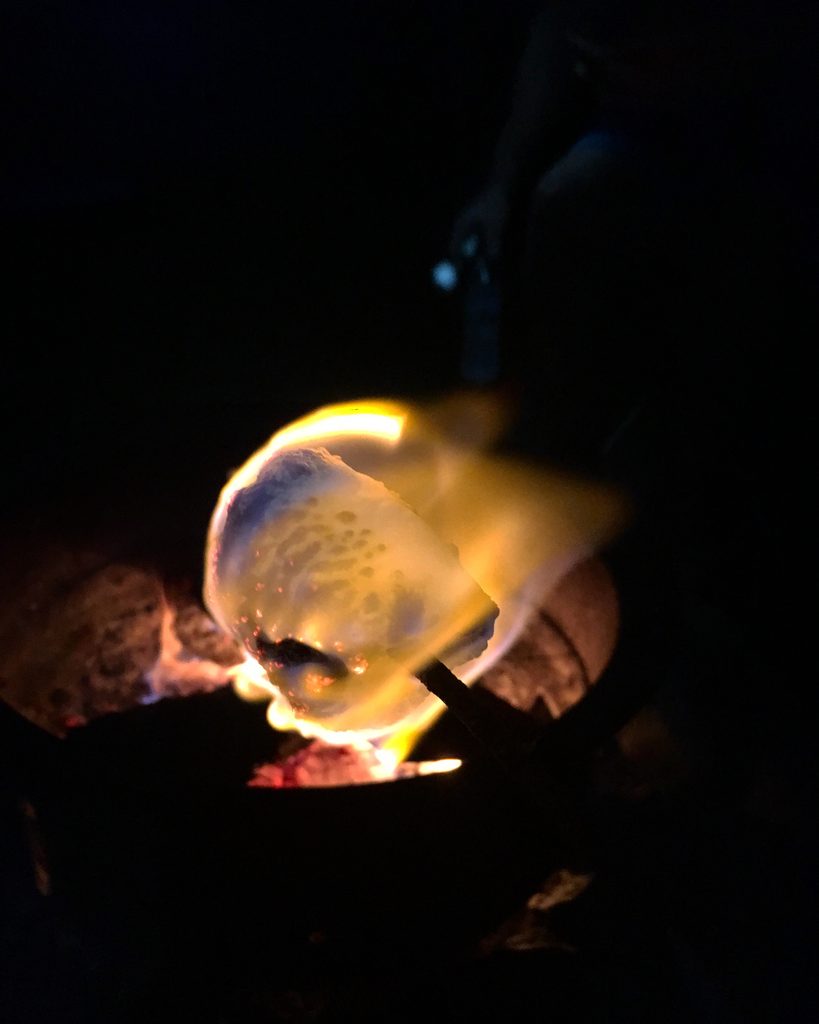 3-Day Acadia National Park Camping Itinerary marshmallow on fire making s'mores