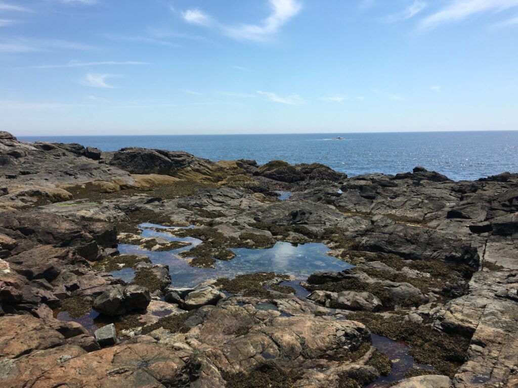 3-Day Acadia National Park Camping Itinerary overlook at the bottom of the stairs at Thunder Hole in Acadia National Park